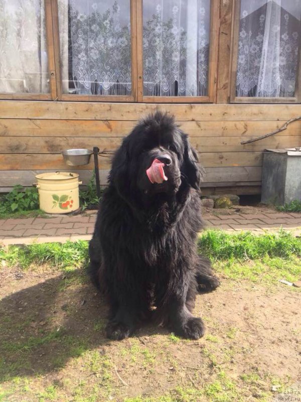 Фотография № 225707