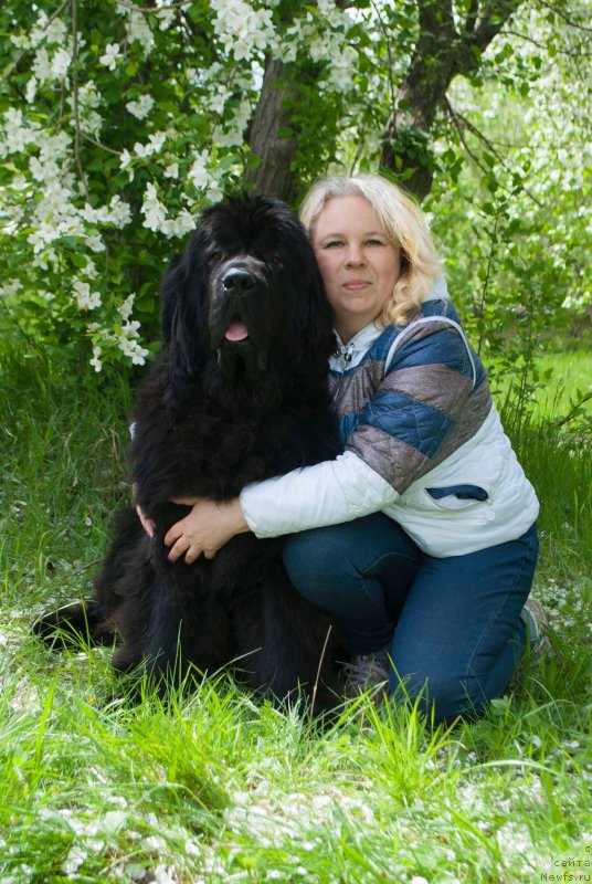 Фотография № 225712