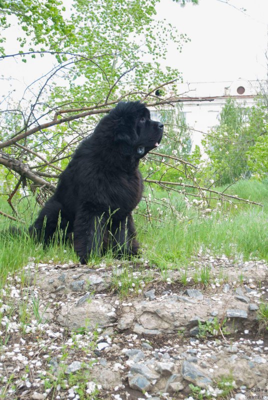 Фотография № 225714