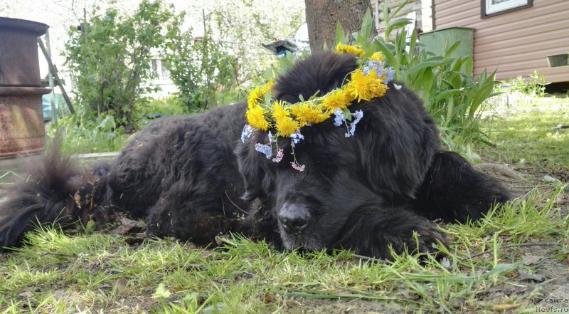 Фотография № 225724