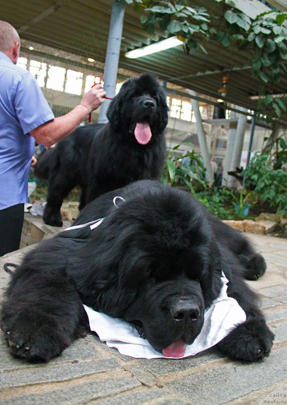 Фотография № 225726