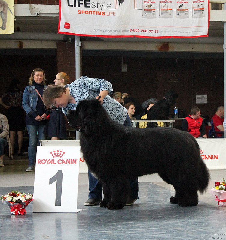 Фотография № 225729