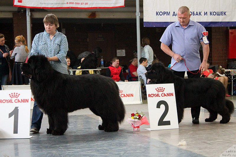 Фотография № 225730