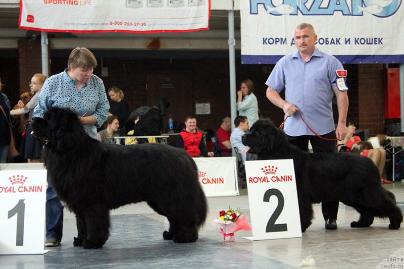 Фотография № 225731