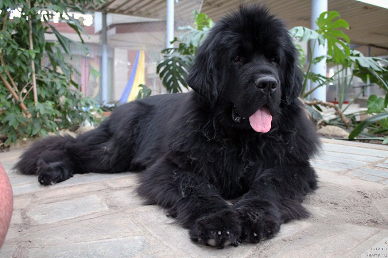 Фотография № 225735