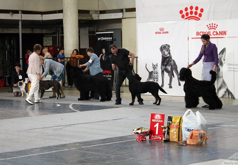 Фотография № 225736