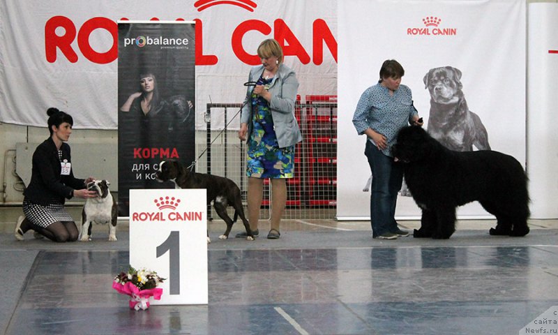 Фотография № 225737