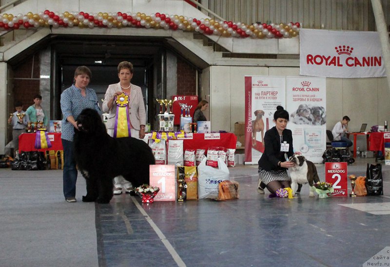 Фотография № 225738