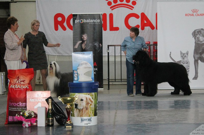 Фотография № 225741