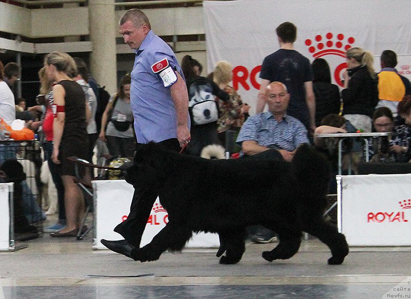 Фотография № 225742