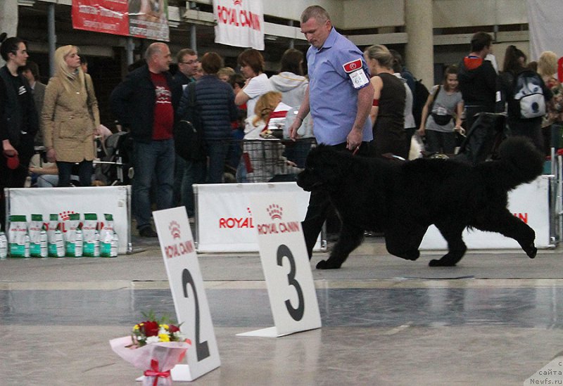 Фотография № 225743