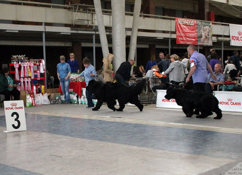 Фотография № 225745