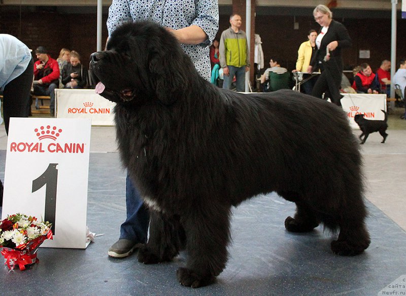 Фотография № 225746