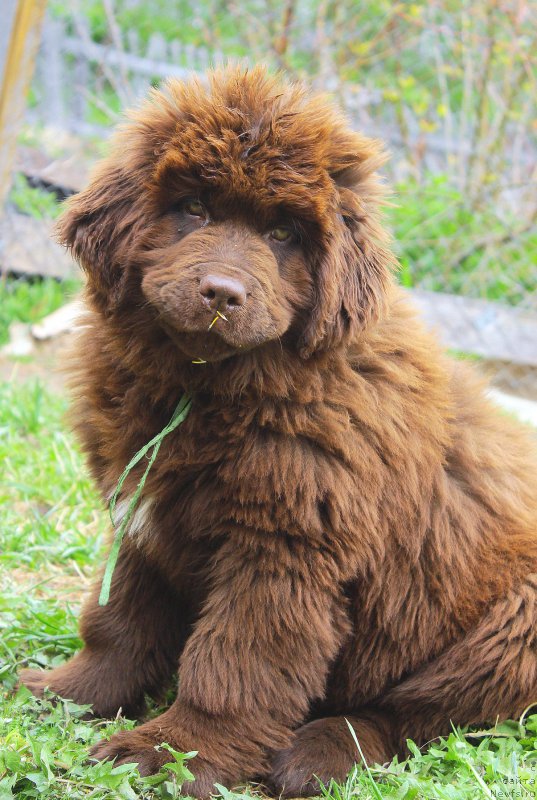 Фотография № 225754