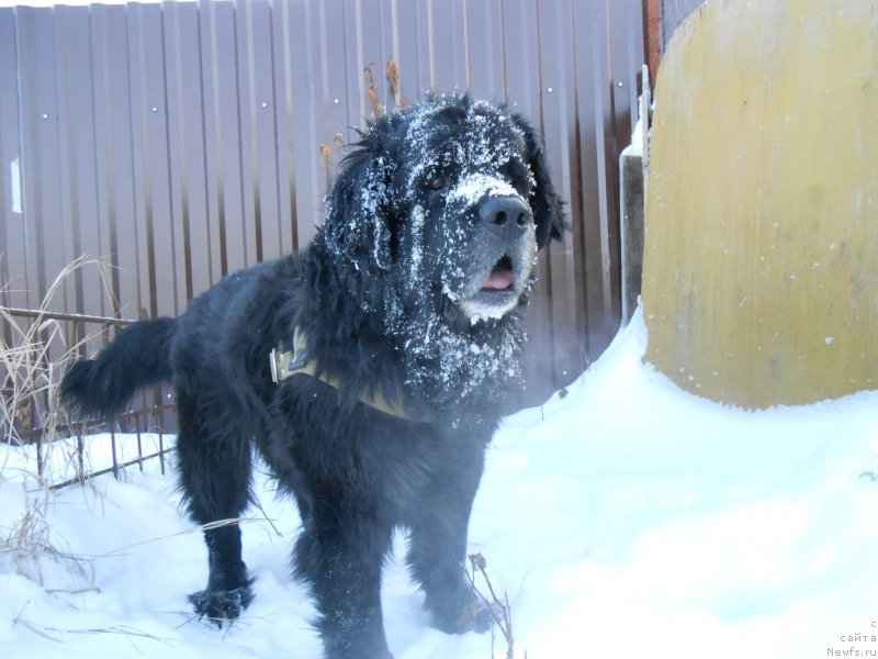 Фотография № 225773