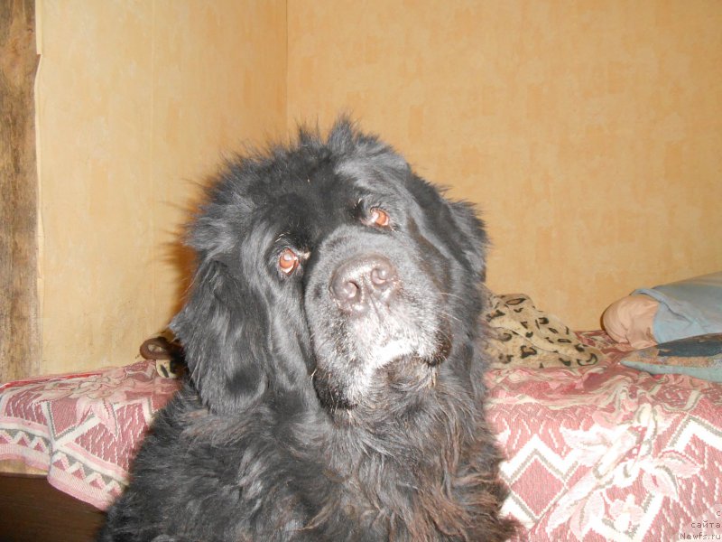 Фотография № 225774