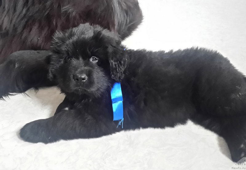 Фотография № 225780