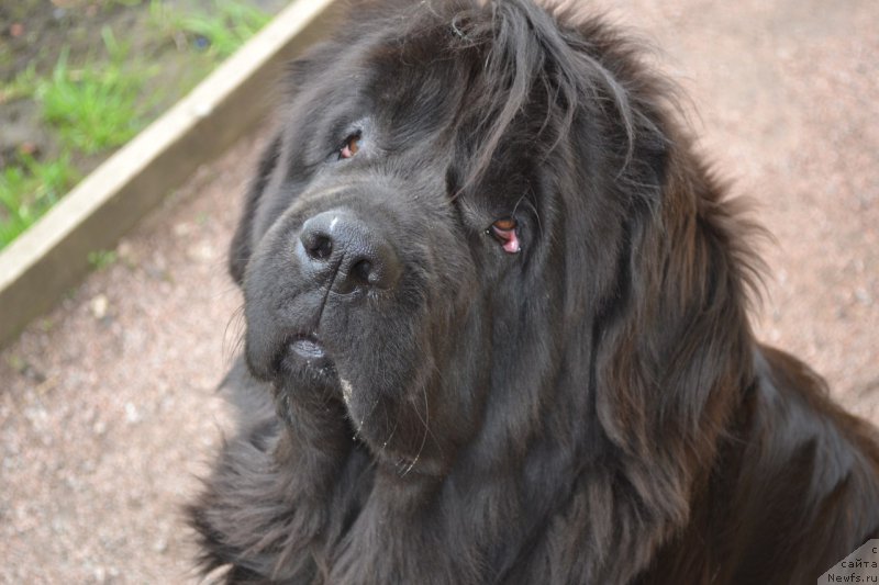 Фотография № 225790