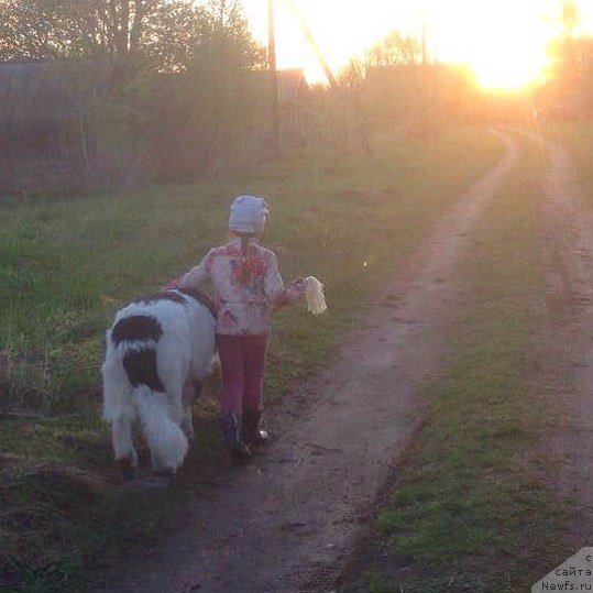 Фотография № 225810