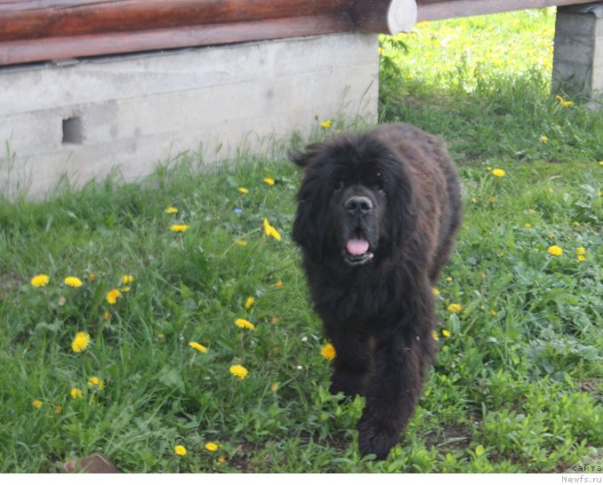 Фотография № 225825