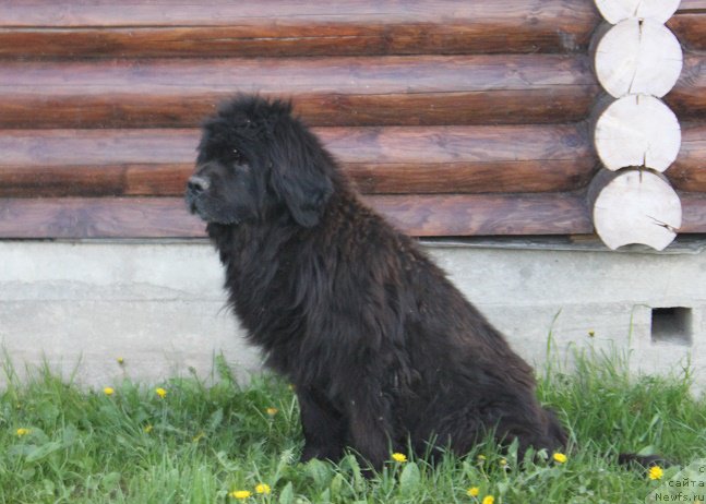 Фотография № 225826