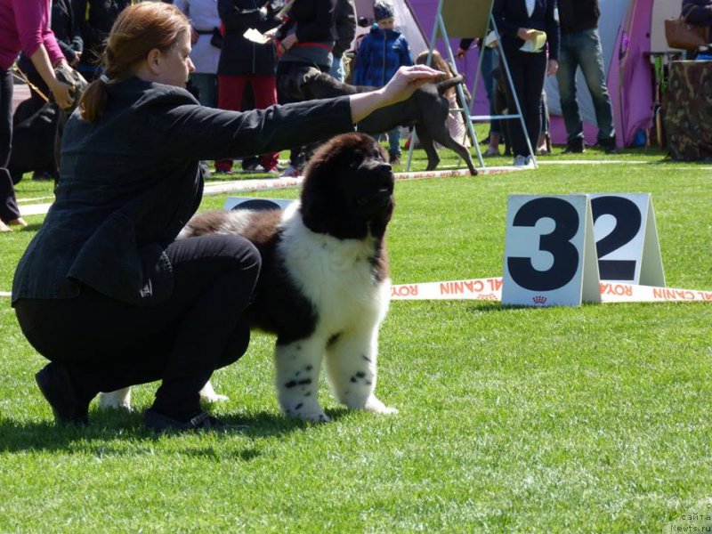 Фотография № 225858