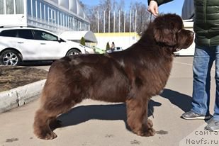 Фотография № 225869