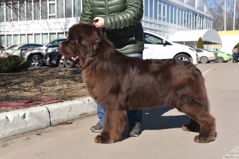 Фотография № 225870