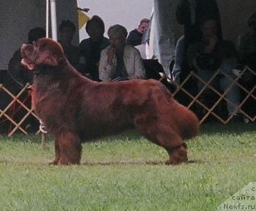 Фотография № 225884