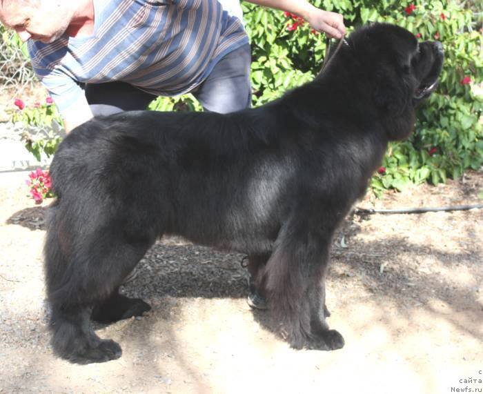 Фотография № 225885