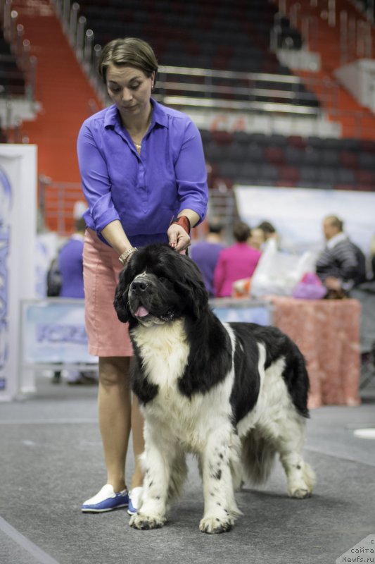 Фотография № 225897