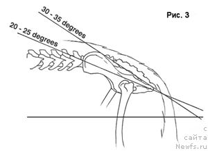 Фотография № 225905
