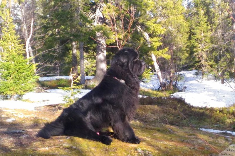 Фотография № 225906