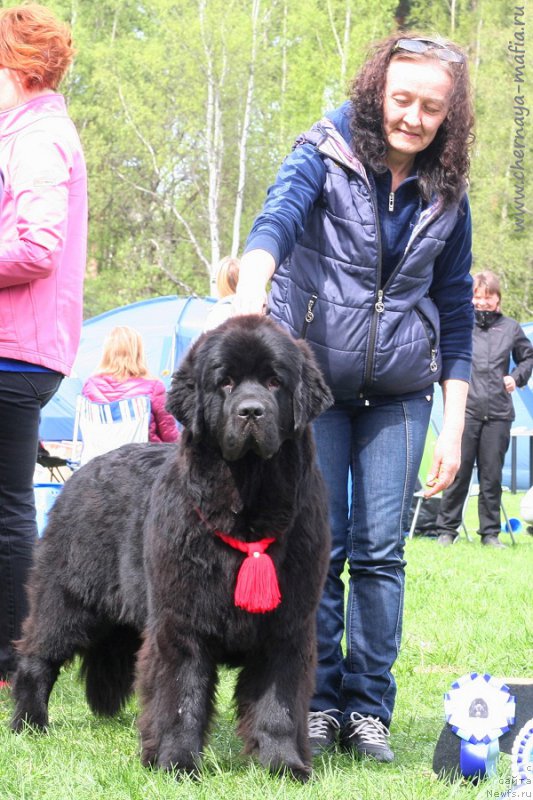 Фотография № 225927