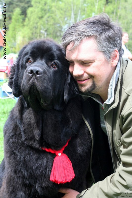 Фотография № 225930