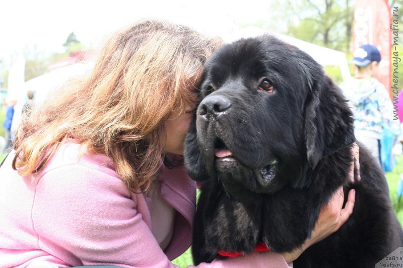 Фотография № 225932