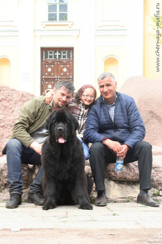 Фотография № 225933