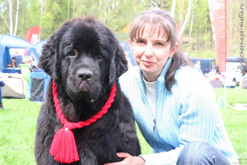 Фотография № 225937