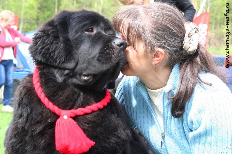 Фотография № 225938