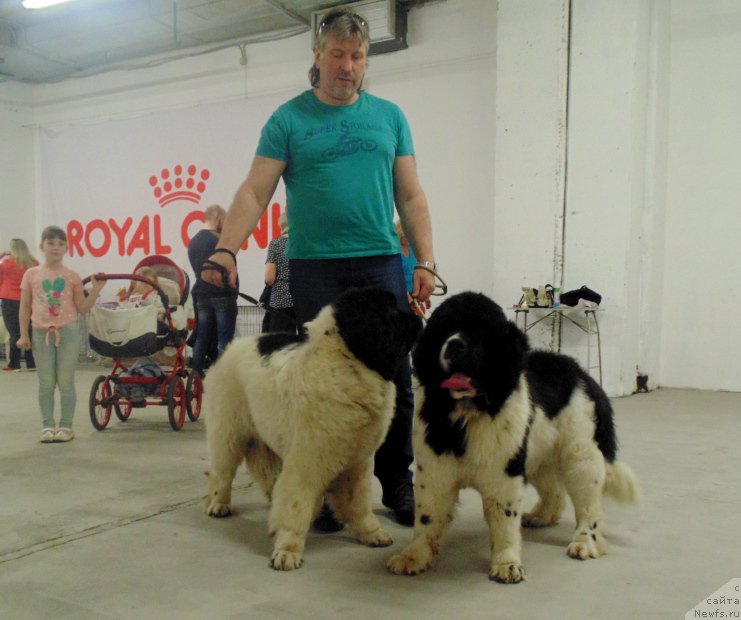 Фотография № 225984