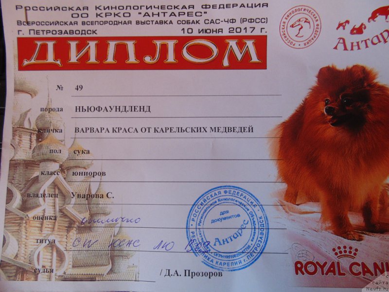 Фотография № 225989