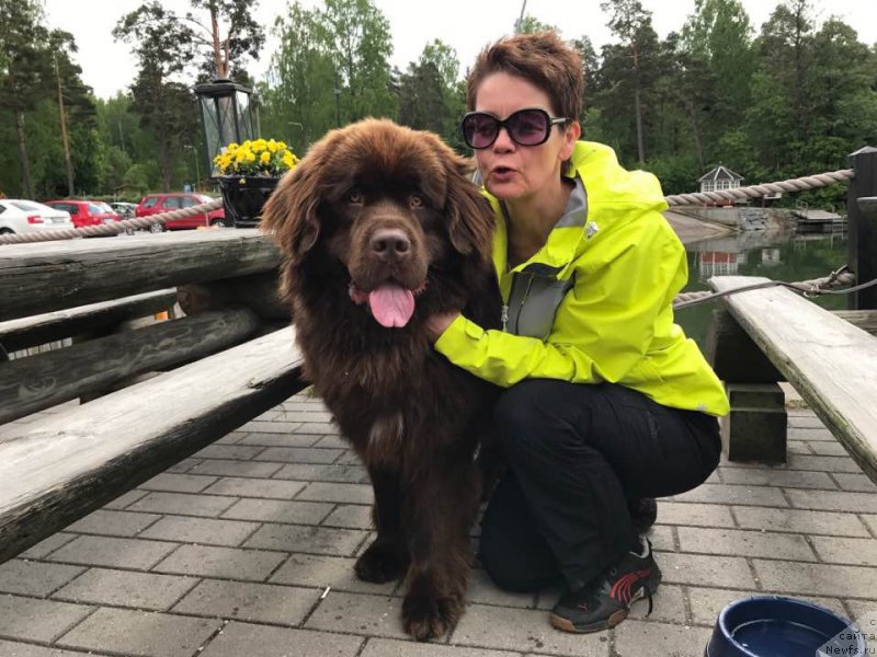 Фотография № 226000