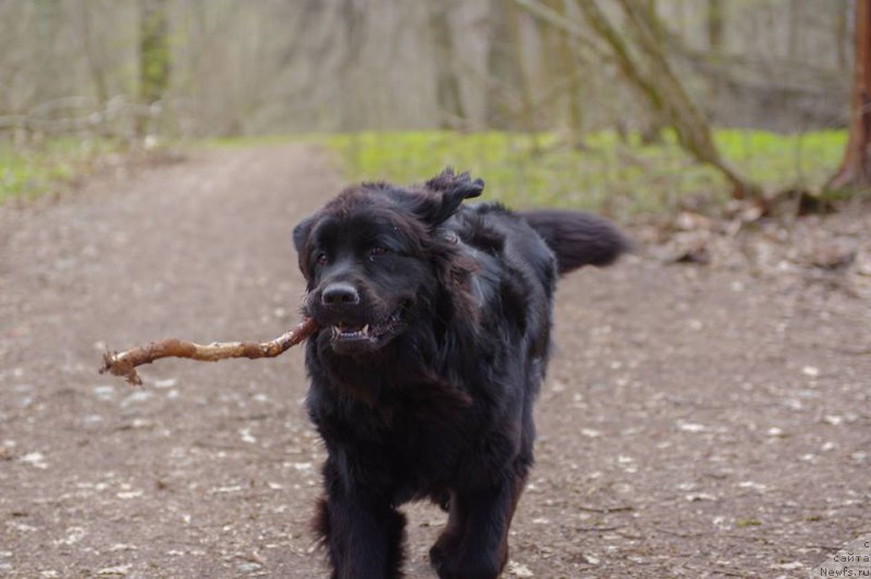 Фотография № 226001