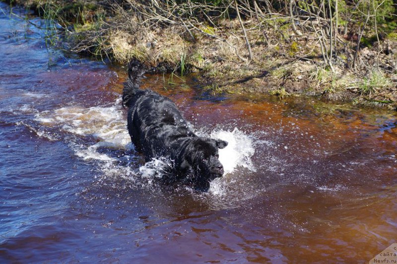 Фотография № 226004