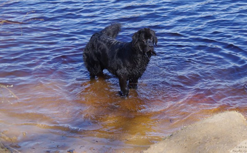 Фотография № 226005