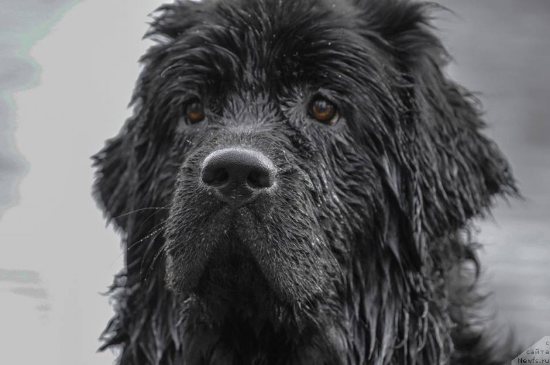 Фотография № 226006