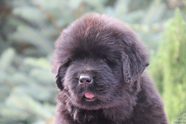 Фотография № 226011