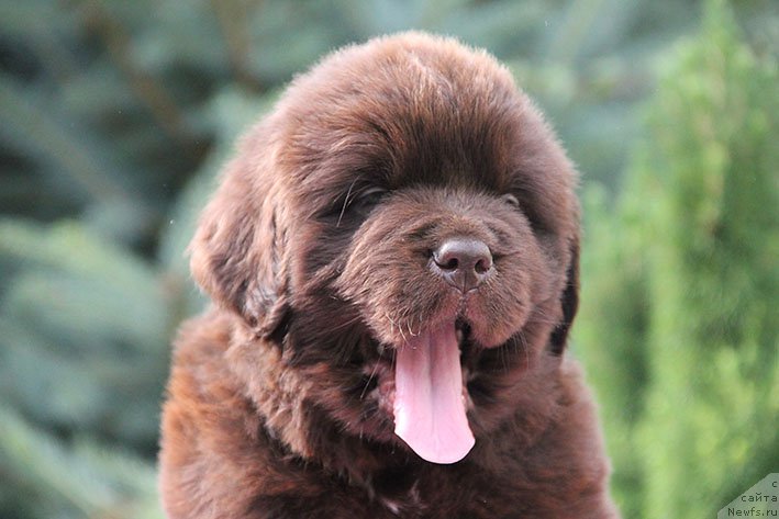 Фотография № 226016