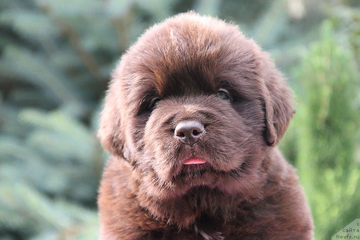 Фотография № 226017