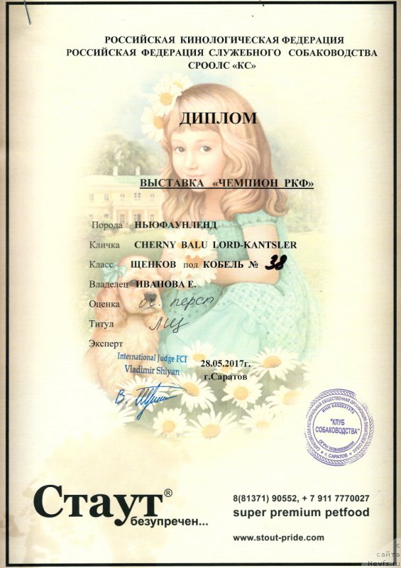 Фото: ньюфаундленд Черный Балу Лорд-Канцлер (Cherniy Balu Lord-Kantsler)